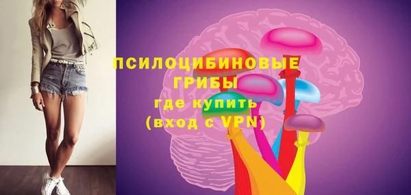винт Бронницы